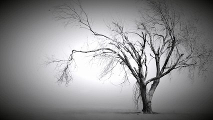 Blak-Dah: In My Sleep