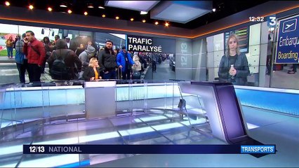 Homme abattu à Orly : le trafic aérien perturbé à Nice