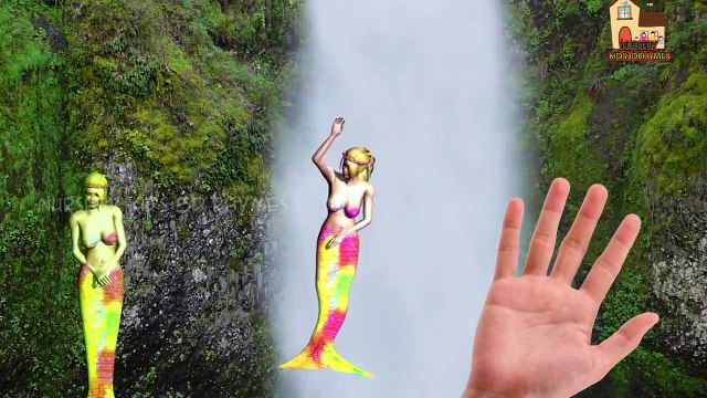Mermaid Finger Family Nursery Children 3d English Rhymes | Mermaids in Ocean