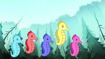 Finger Family - Sea Animals | Nursery Rhymes & Kids Songs - ABCkidTV