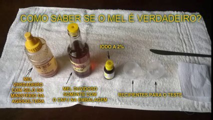Como Saber se o Mel é VERDADEIRO ou FALSO (FelinoTube)