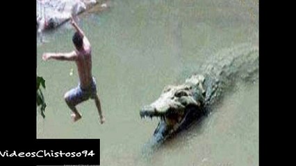 cocodrilo se come a un hombre| video viral | 2017