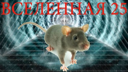 Виктор Ефимов - Деградация социума (эксперимент Вселенная 25)