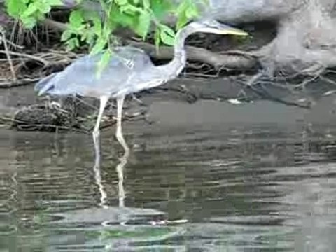 Image ou vidéo 3 1014