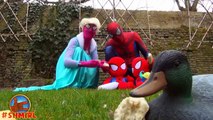Frozen Elsa Pink Spidergirl with Spiderbaby Twins vs Spiderman - Superhero Fun In Real Lif