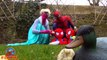 Frozen Elsa Pink Spidergirl with Spiderbaby Twins vs Spiderman - Superhero Fun In Real Lif