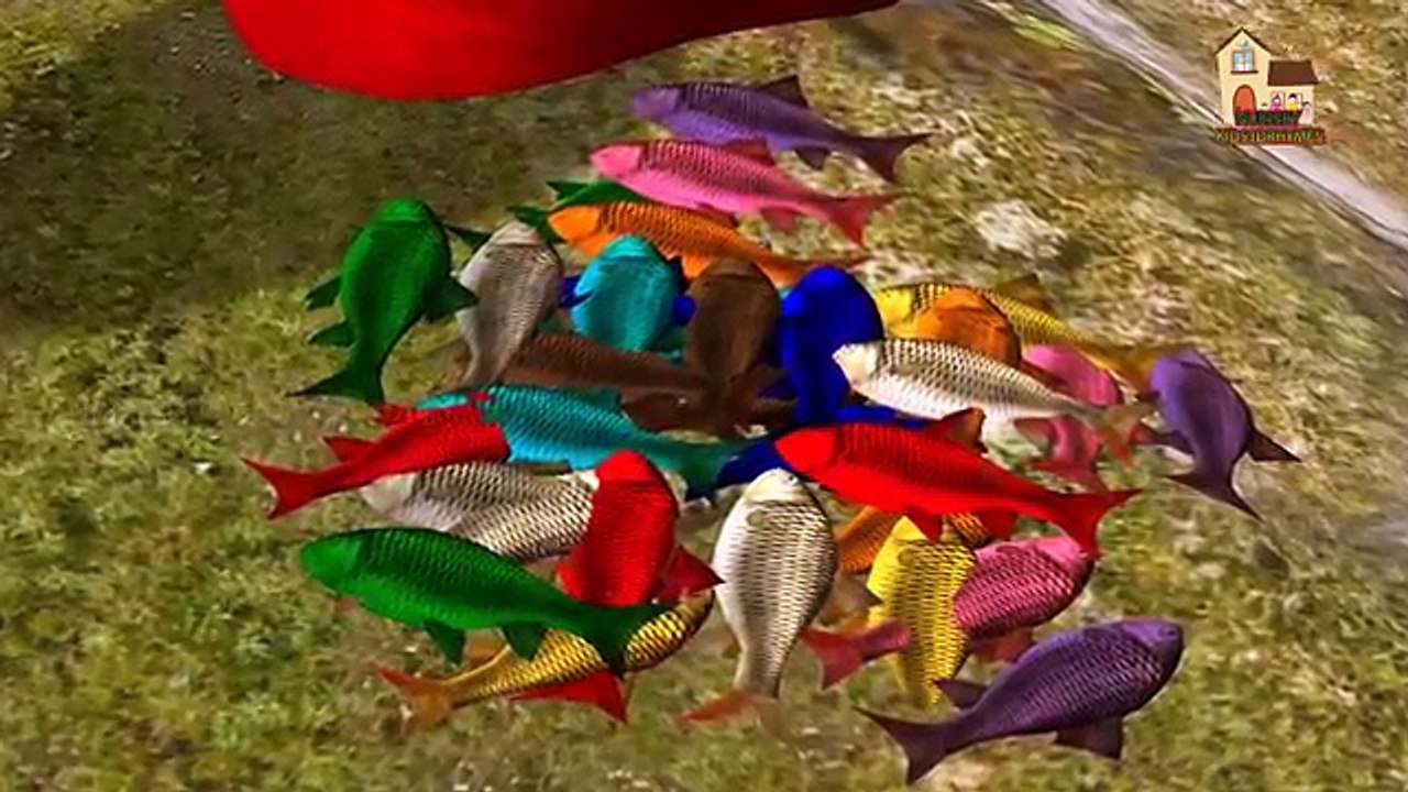 Bear Color Songs - 3D Penguin Animation Fish Learning Colors Nursery Chilldren Rhymes for Kids