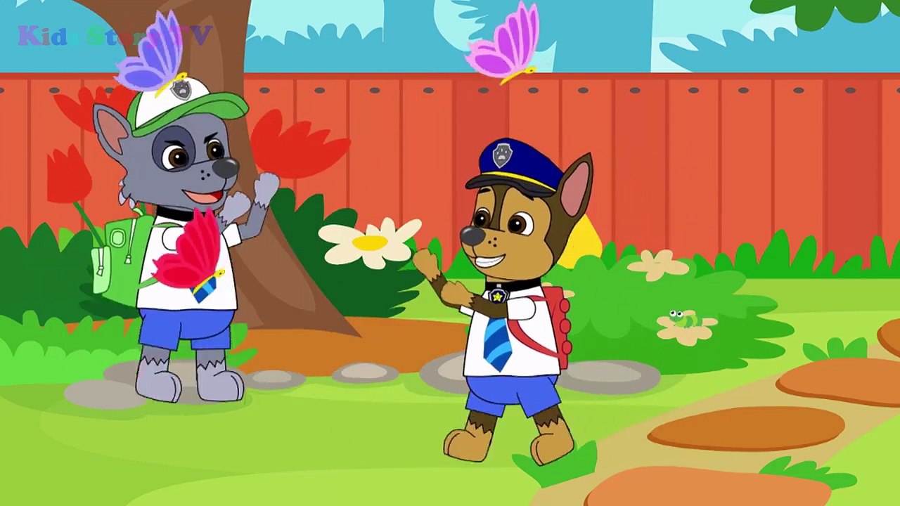 Paw Patrol Full Episodes Paw Patrol Cartoon Nick Jr English