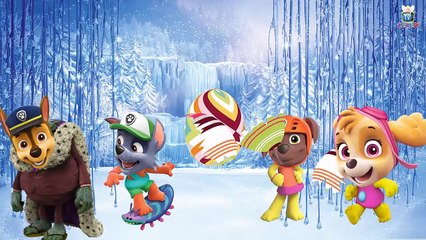 Paw Patrol Transforms Into Trolls Finger Family Nursery Rhymes