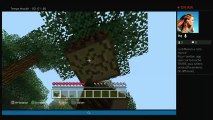 Minecraft Survie avec Coulspot (16)