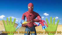 Spiderman Finger Family Song | Genie gift for Spider-Man surprise Toys Gift