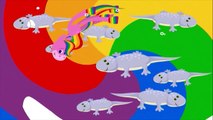 Учим цвета: Лошадка Радуга - развивающие мультики для самых маленьких, цвета для малышей
