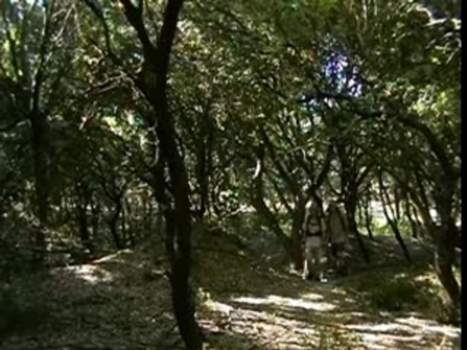 Perdu en Forêt - 2 min du peuple