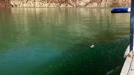 Udhetim me varke ne Liqenin e Komanit