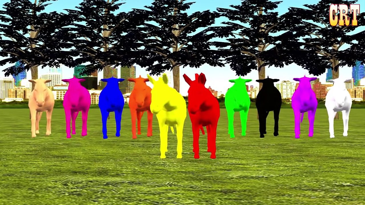 Colourful Gorilla Colour Song || Nursery Rhymes # Cartoon For Children Rhymes Compilation