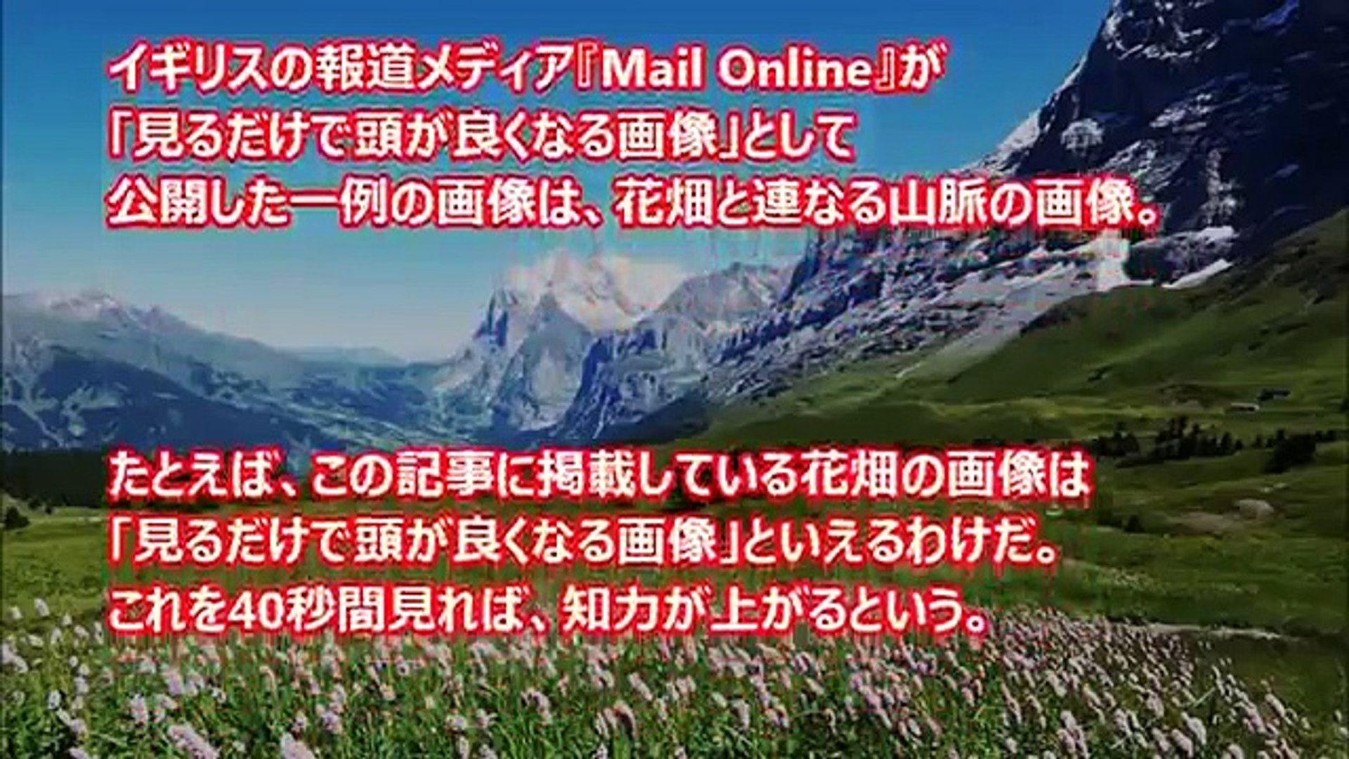 衝撃 たった４０秒見るだけで頭がよくなる凄い写真 Iqテストあり Video Dailymotion