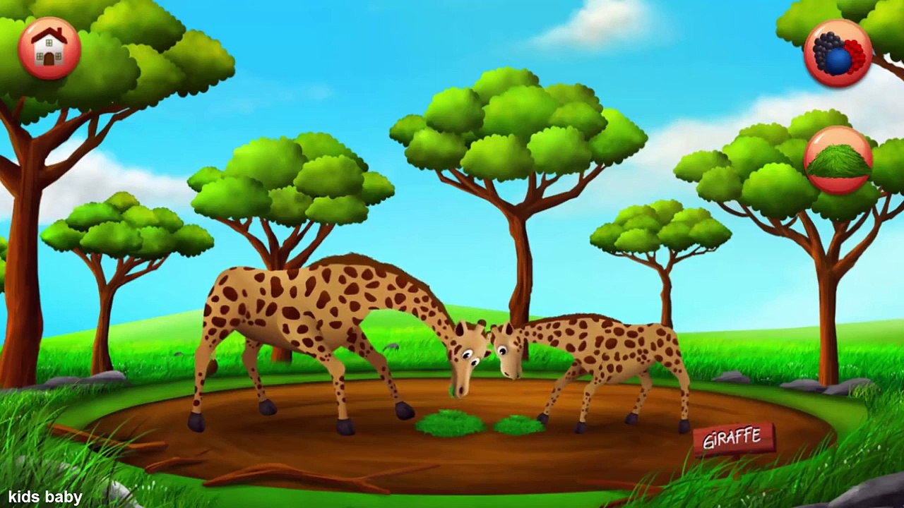 И животные мультфильм Персонажи Узнайте имен реальная звуки тв Дикий с |