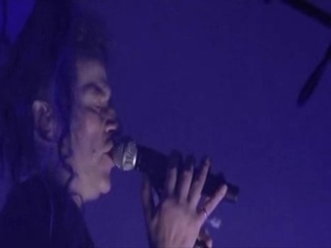 H-F Thiéfaine SM tour-Les dingues et les paumés