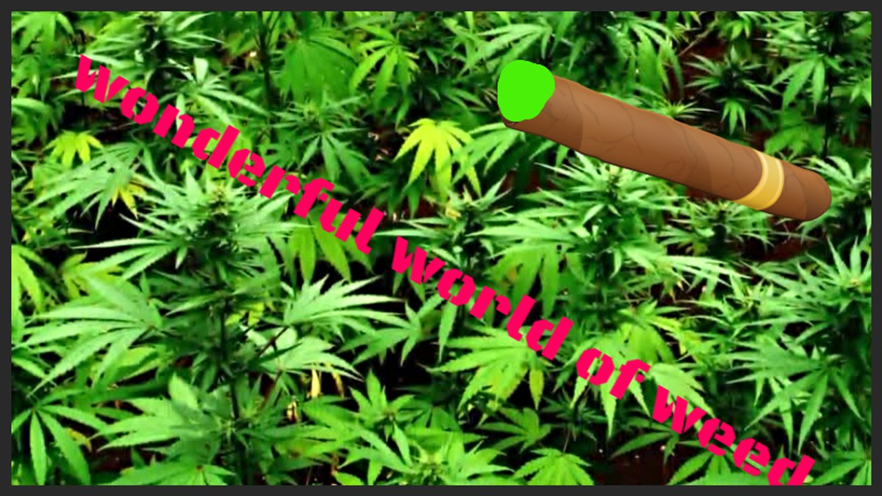 WONDERFUL WORLD OF WEED EP 1 | SLIDESHOW VIDEO