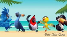 Rio 2 Finger Family Nursery Rhymes Lyrics