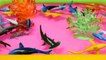 Learning Sharks Sea Animals with Shark Toys Educational Video for Children Toddlers-jy