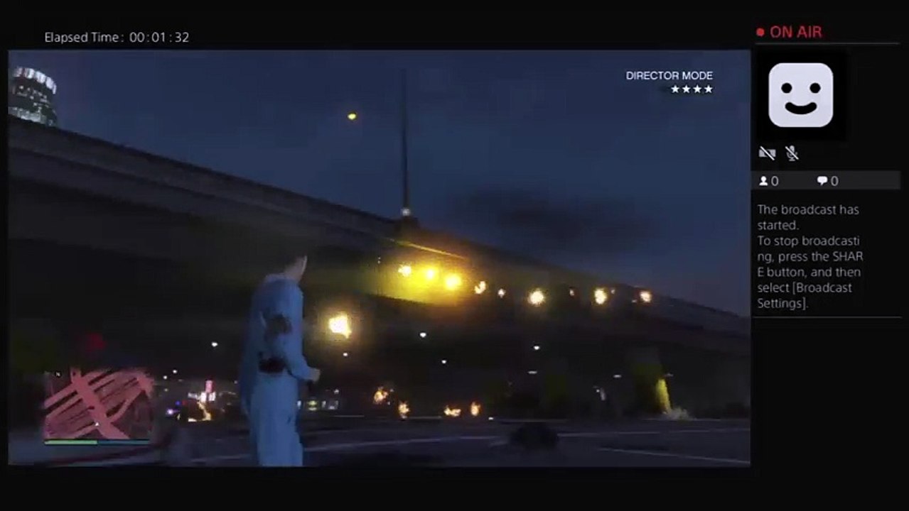 Gta5 (5)