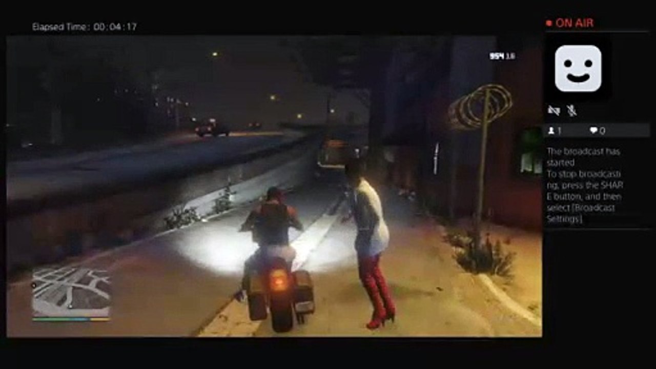 Gta5 (6)