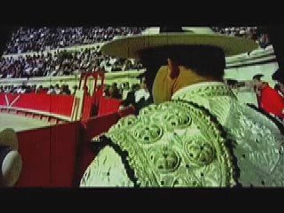 The Bullfighter
