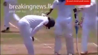 Cricket Fight