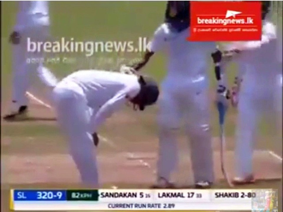 Cricket Fight
