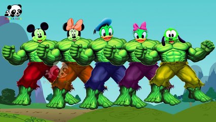 #Mickey Mouse #Hulk #Donald Duck #Finger Family Songs #Nursery Rhymes Lyric & More Panda