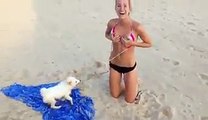 This Dog Hates Swim Suit - B!kini VS cute puppy