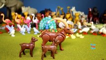 Playmobil Wild Animals Toy Collection For Kids - Animals For Children-OaWsO5RP9Mk
