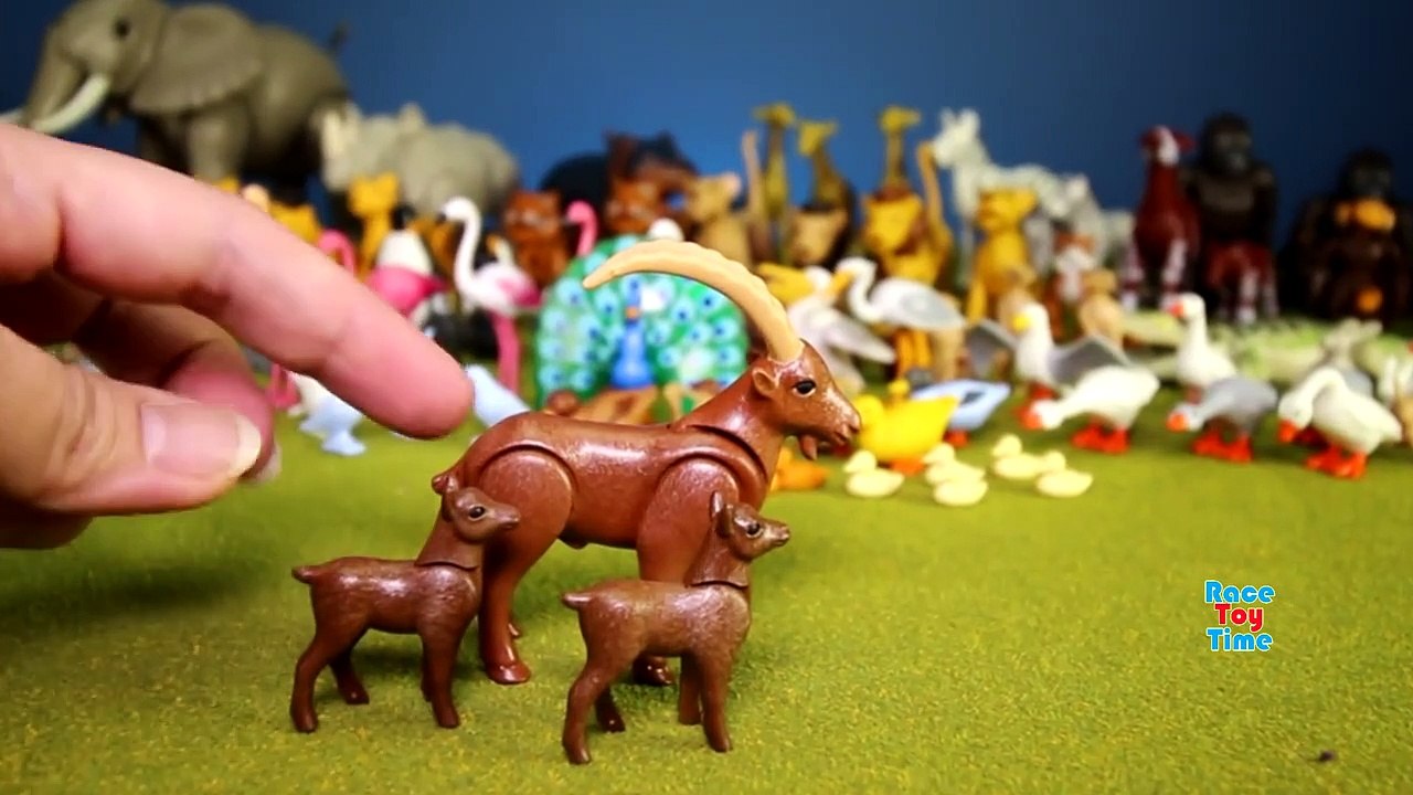 Playmobil Wild Animals Toy Collection For Kids - Animals For Children-
