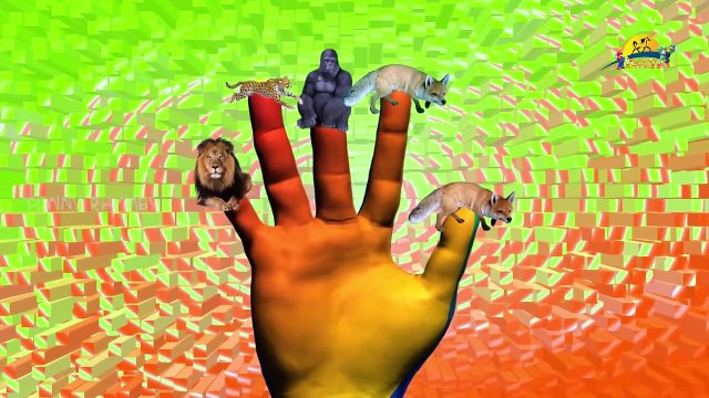 Lion,Tiger,Cheetah Finger Family 3d animals animated English rhymes Collection 2 hours vid