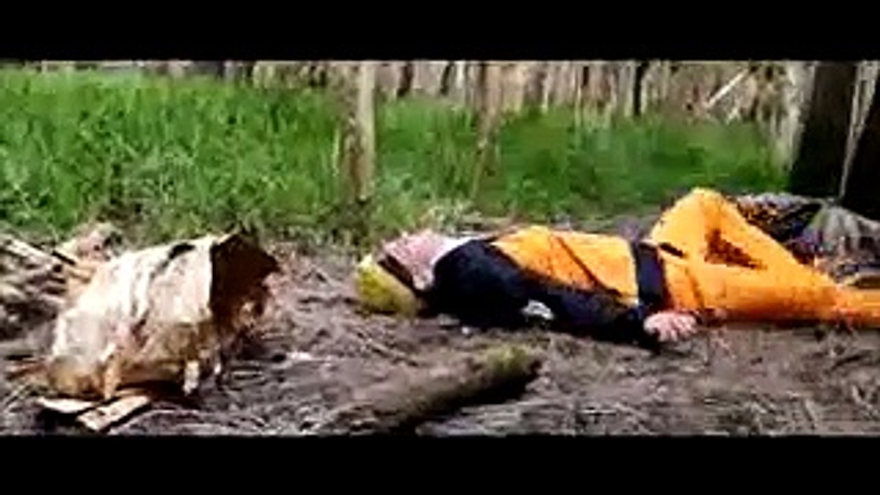 Bazit terbaru naruto vs sasuke