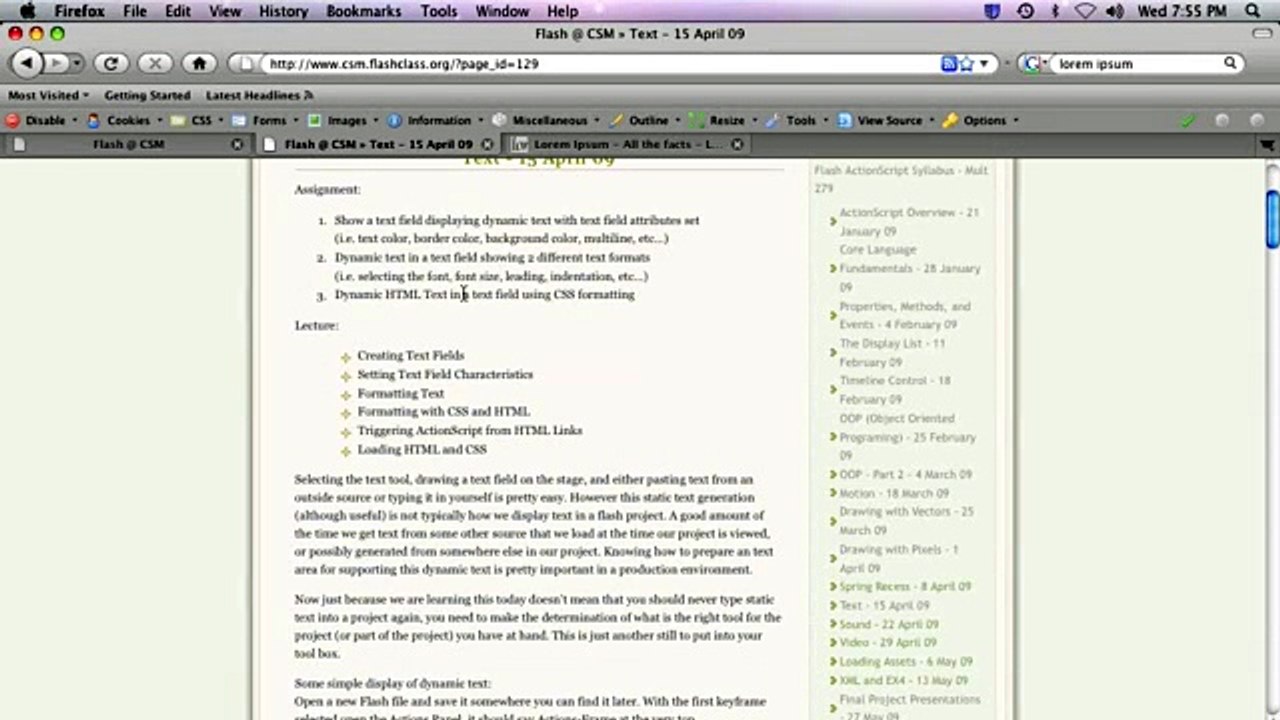 ActionScript CSM  Flash_clip19