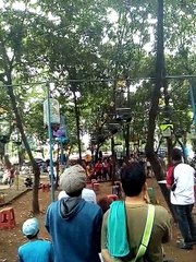 Kontes Burung Lovebird