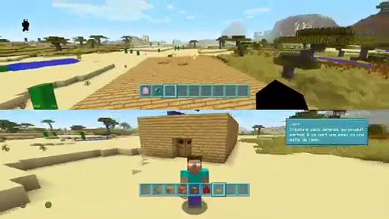 Video animation minecraft (8)