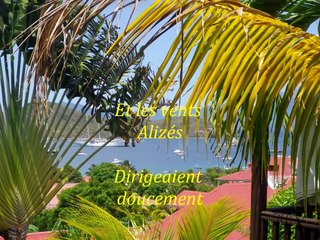 AU GRE DES ALIZES