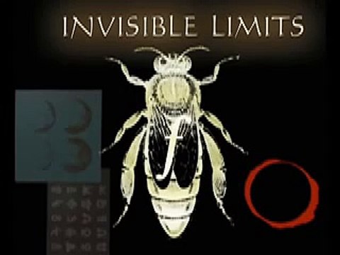Invisible Limits - Insight (Unreleased Mix)