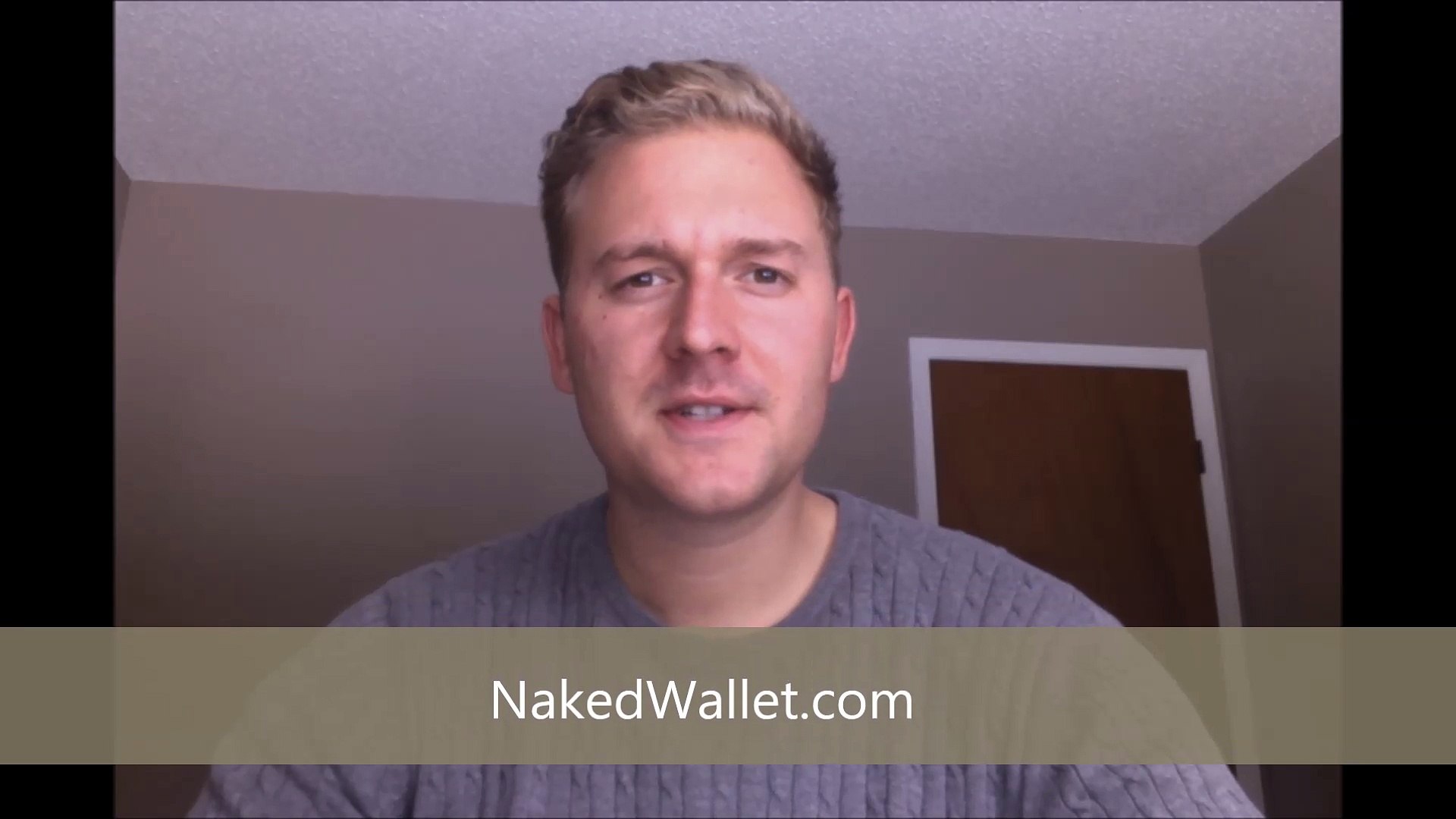 Travel Wallet