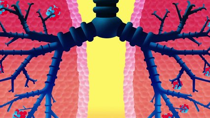 Body Songs by StoryBots