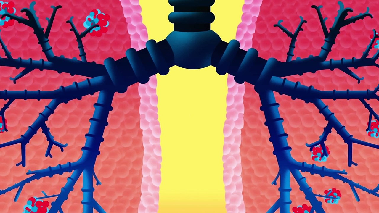 Body Songs by StoryBots