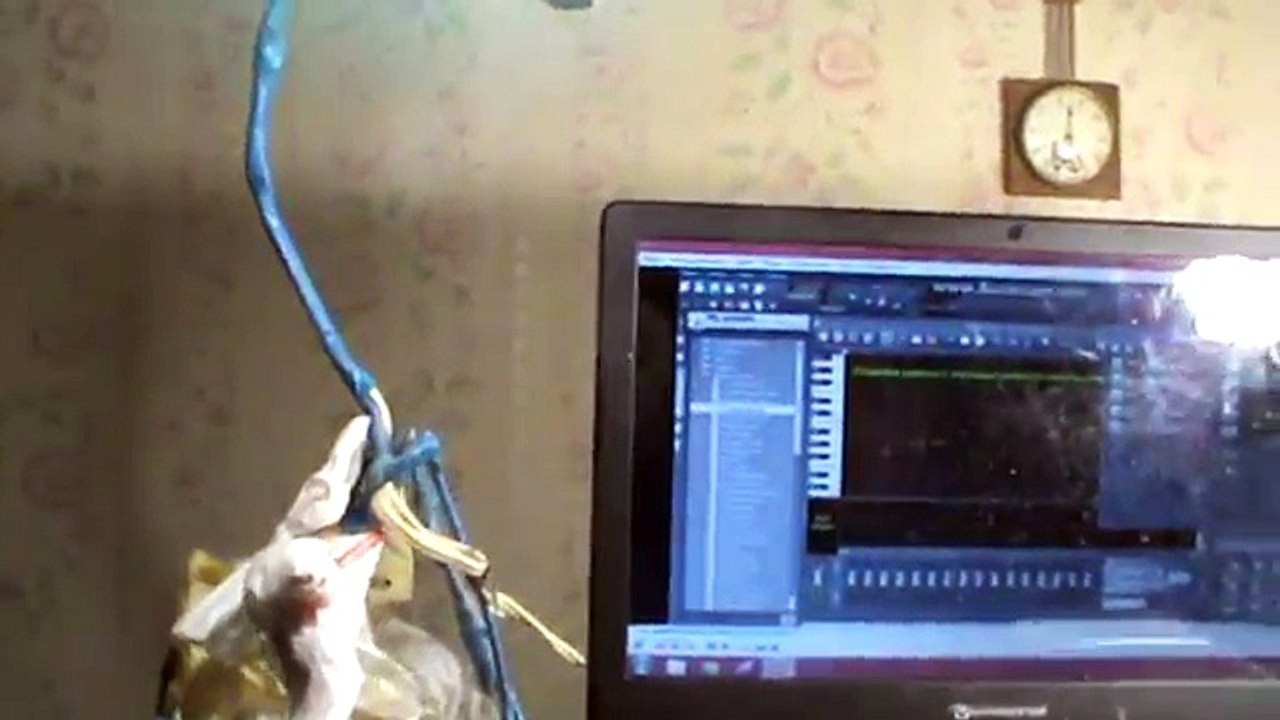 Как я снимал видео Новая музыка в марте