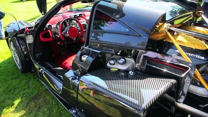 Pagani Huayra Carbon Edition Struggling  to Drive Over a Curb