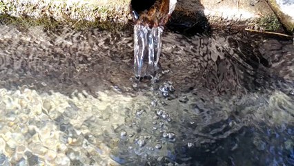 Devamlı Abdestli Olmak İçin 5 Sebep