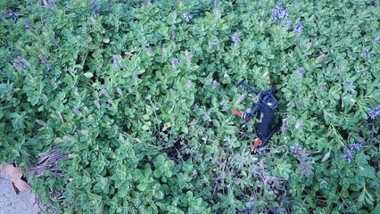 Falcore Takeoff Troubleshooting