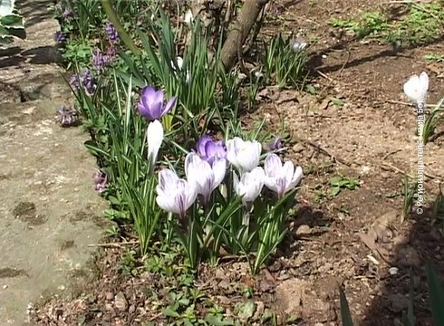 Selo moje, 19. mart 2017. (RTV Bor)