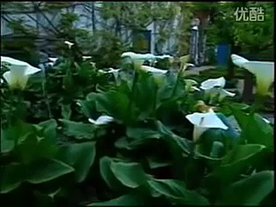 北国の春